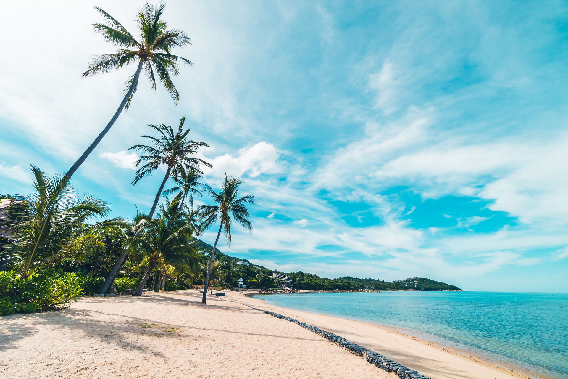 A palm-fringed tropical beach and calm clear water